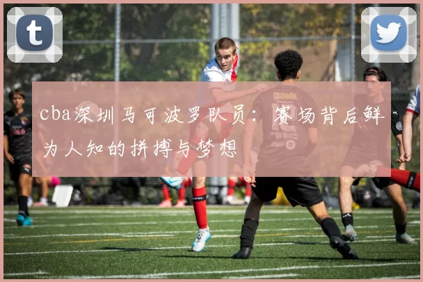 cba深圳马可波罗队员：赛场背后鲜为人知的拼搏与梦想