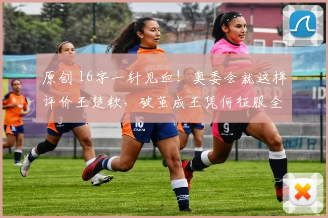 原创 16字一针见血！奥委会就这样评价王楚钦，破茧成王凭何征服全网？