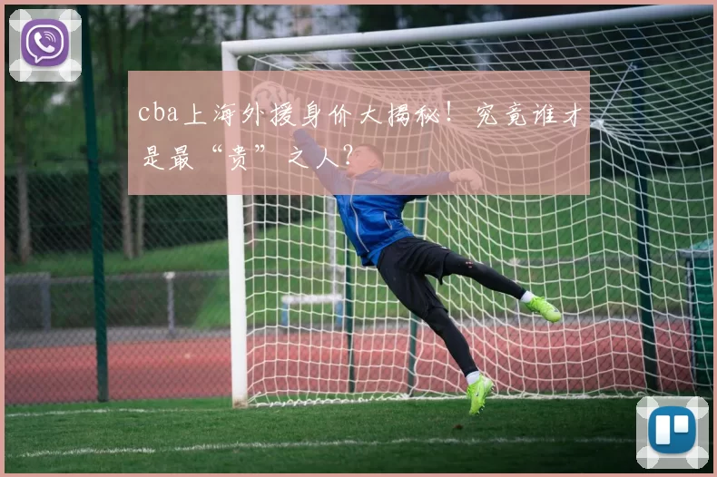 cba上海外援身价大揭秘！究竟谁才是最“贵”之人？