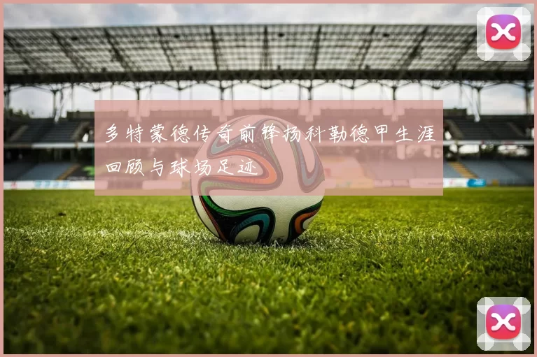 多特蒙德传奇前锋扬科勒德甲生涯回顾与球场足迹