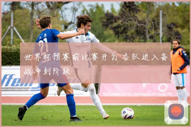 世界杯预赛前比赛开打 各队进入备战冲刺阶段